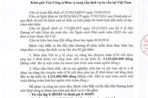 THƯ MỜI CHÀO GIÁ DỊCH VỤ TƯ VẤN LẬP E - HSMT VÀ ĐÁNH GIÁ E - HSDT TƯ VẤN THẨM ĐỊNH E - HSMT VÀ KẾT QUẢ LỰA CHỌN NHÀ THẦU